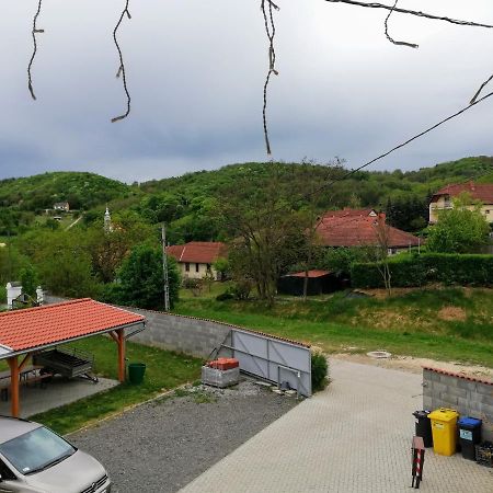 Hotel Lotuszvirag Vendeghaz Szekszárd Exterior foto