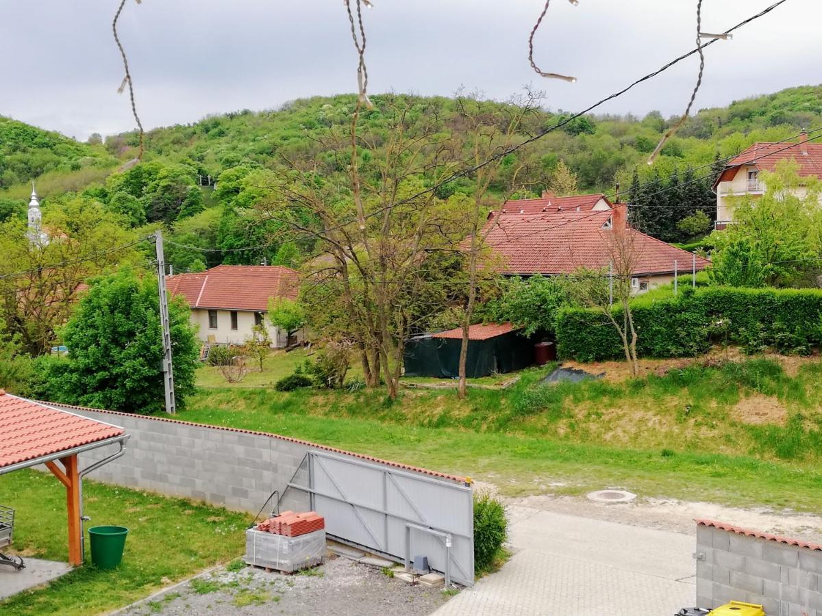 Hotel Lotuszvirag Vendeghaz Szekszárd Exterior foto